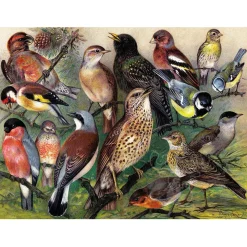 New York Puzzle Co. Vintage Collection: Songbirds Puzzle 1000pcs