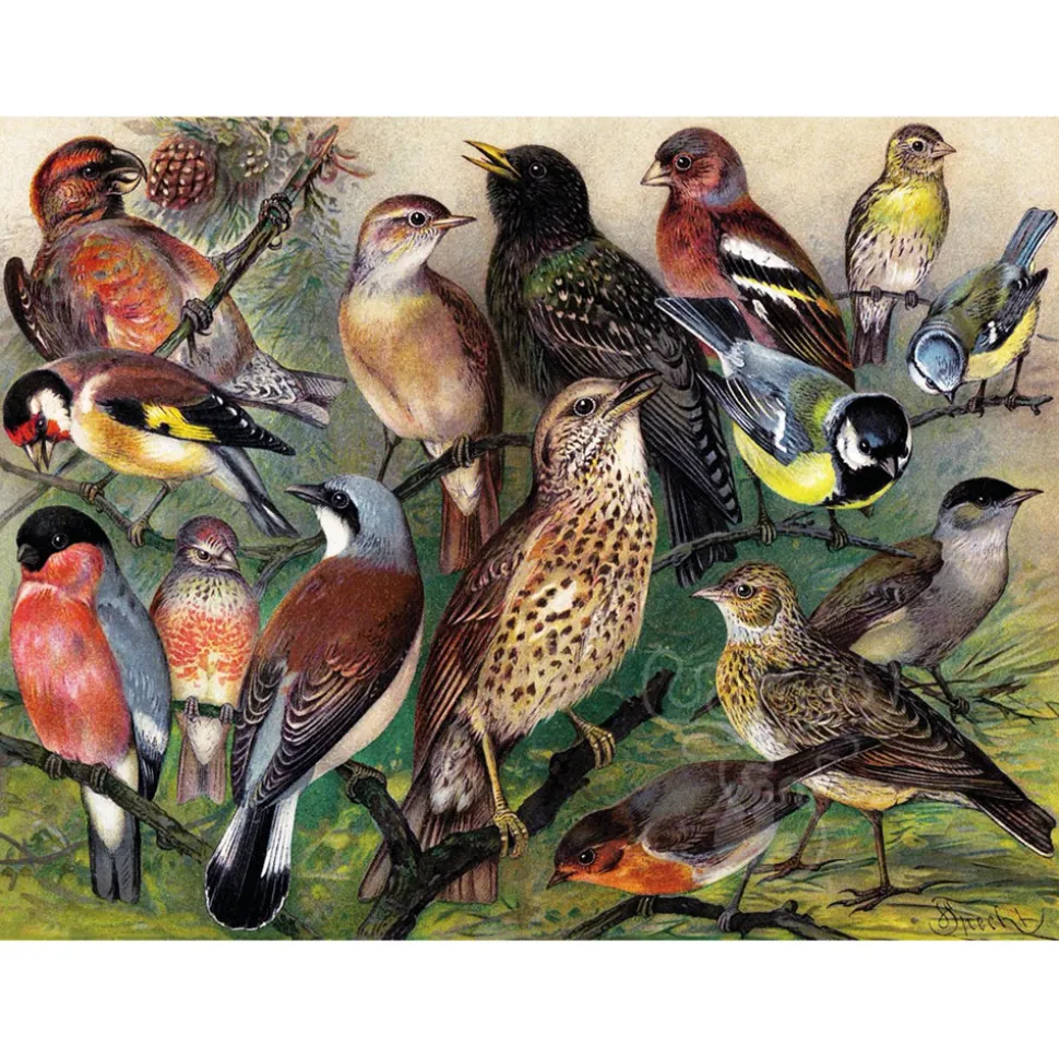 New York Puzzle Co. Vintage Collection: Songbirds Puzzle 1000pcs