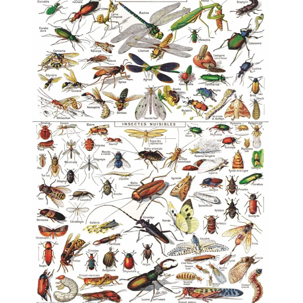 New York Puzzle Co. Vintage Collection: Insects ~ Insectes Puzzle 1000pcs