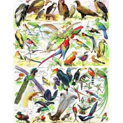 New York Puzzle Co. Vintage Collection: Birds ~ Oiseaux Puzzle 1000pcs
