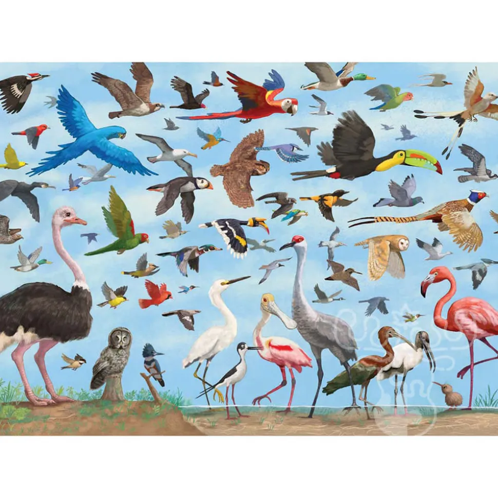 Peter Pauper Press All the Bird Puzzle 1000pcs