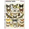 Piatnik Millot - Butterflies and Moths Puzzle 1000pcs