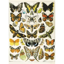 Piatnik Millot - Butterflies and Moths Puzzle 1000pcs