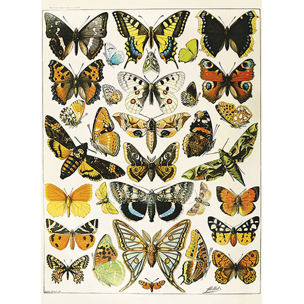 Piatnik Millot - Butterflies and Moths Puzzle 1000pcs