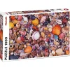 Piatnik Sea Shells Puzzle 1000pcs