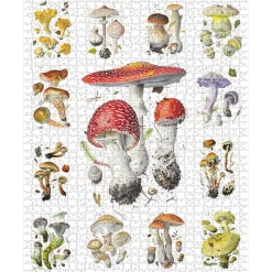 Pomegranate Viazmensky, Alexander: Mushrooms Puzzle 1000pcs