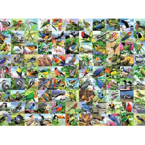 Ravensburger 99 Delightful Birds Large Format Puzzle 300pcs RETIRED