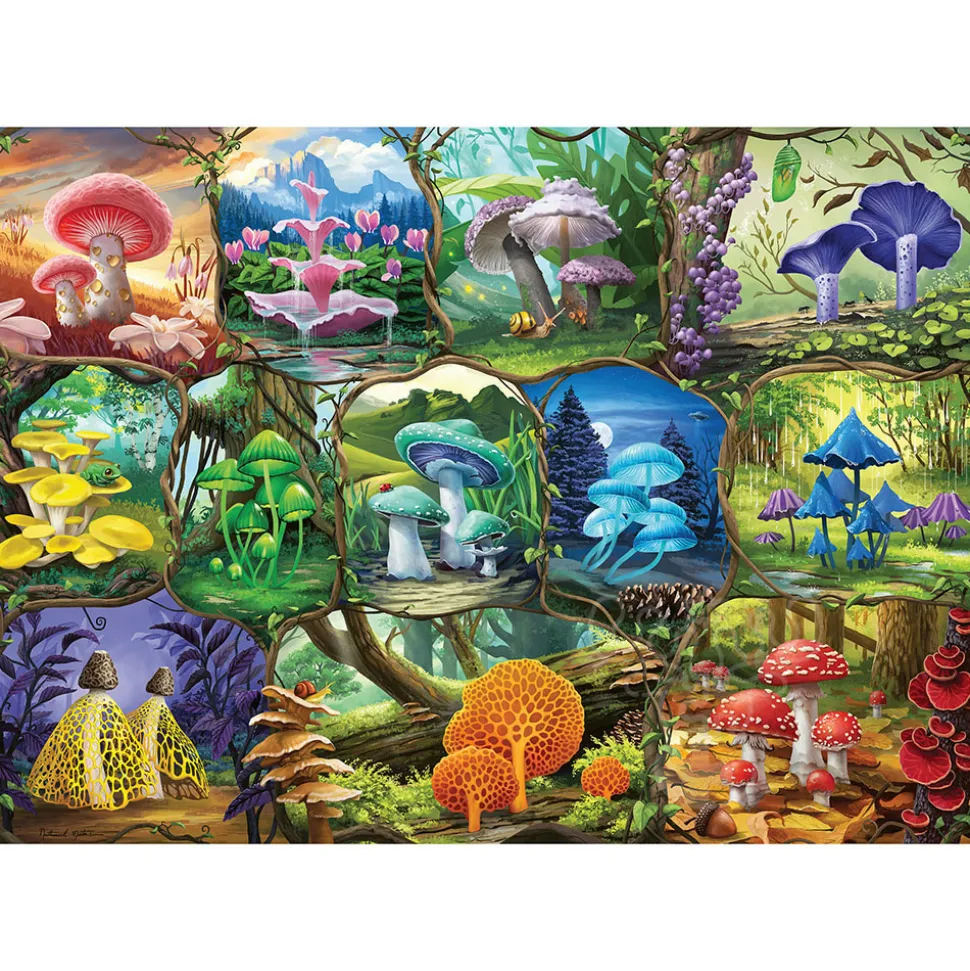 Ravensburger Beautiful Mushrooms Puzzle 1000pcs