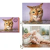RP Studio Cats on Catnip 2-in-1 Double-Sided Puzzle 1000pcs