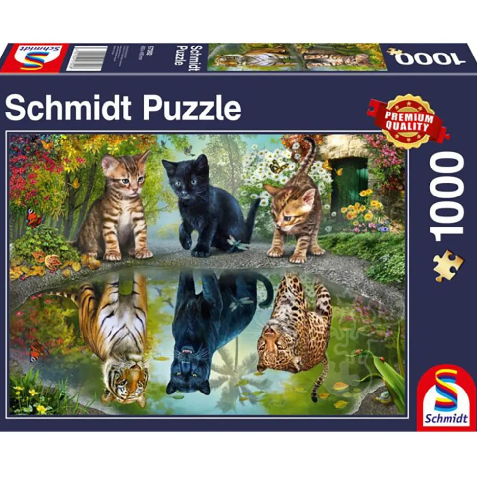 Schmidt Dream Big! Puzzle 1000pcs