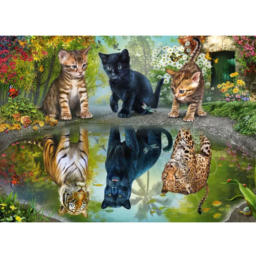 Schmidt Dream Big! Puzzle 1000pcs