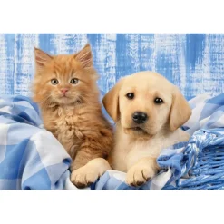 Schmidt My cutest baby animals Puzzle 3 x 48pcs