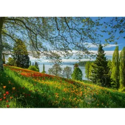 Schmidt Tulips Flowering, Frühlingsallee, Mainau Island Puzzle 1000pcs