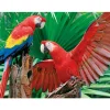 Springbok Scarlet Macaw Family Puzzle 400pcs RETIRED