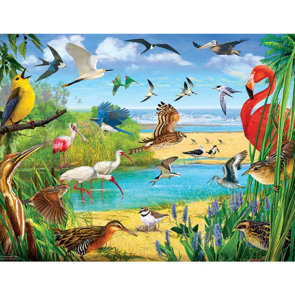 SunsOut Florida Birds Puzzle 1000pcs