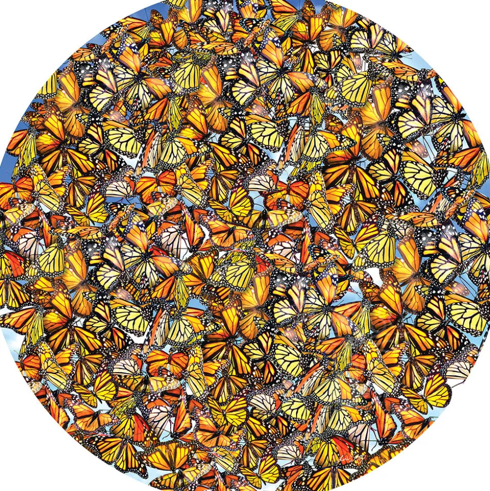SunsOut Monarch Frenzy Round Puzzle 1000pcs