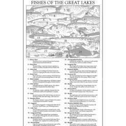 The Occurrence Fishes Of The Great Lakes Puzzle 1008pcs