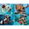 Willow Creek Underwater Dogs: Pool Pawty Puzzle 1000pcs