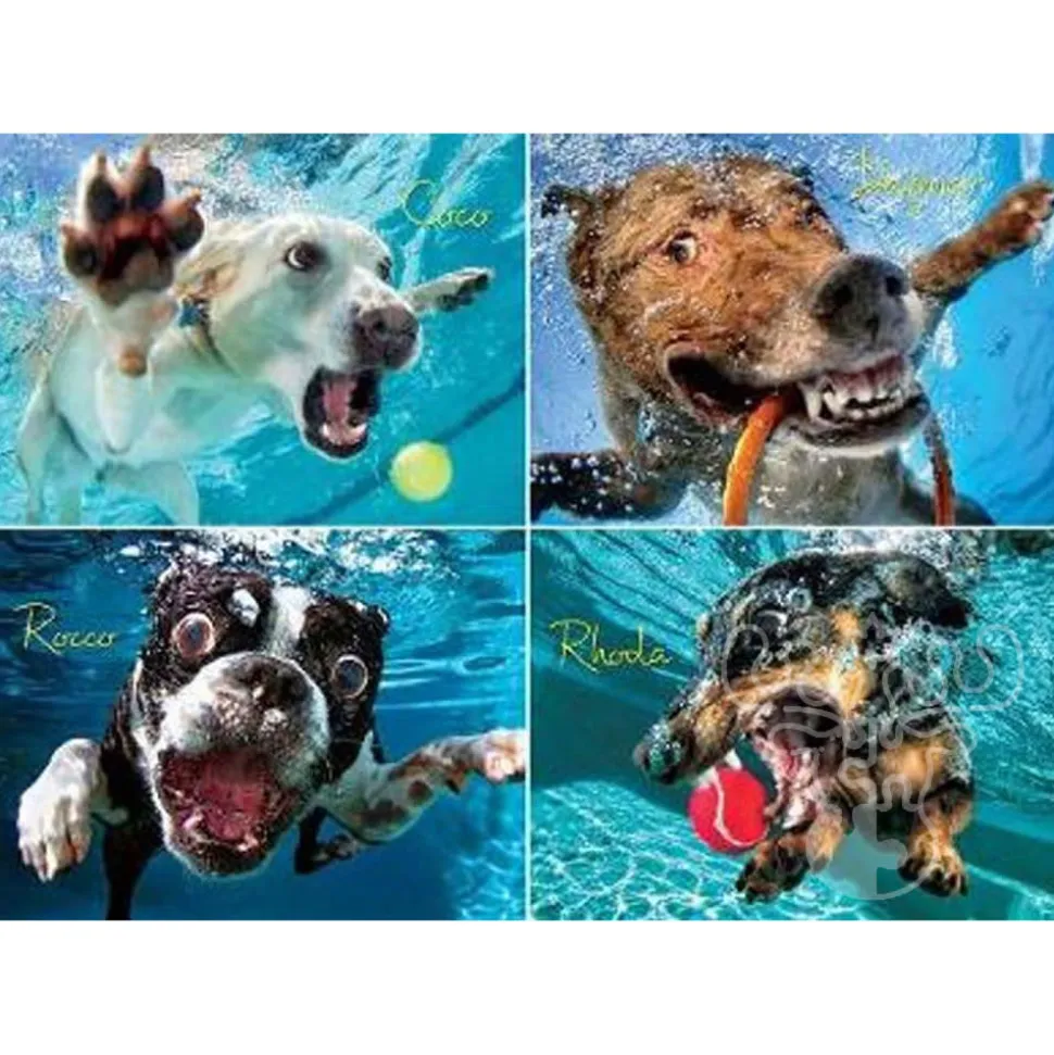 Willow Creek Underwater Dogs: Pool Pawty Puzzle 1000pcs